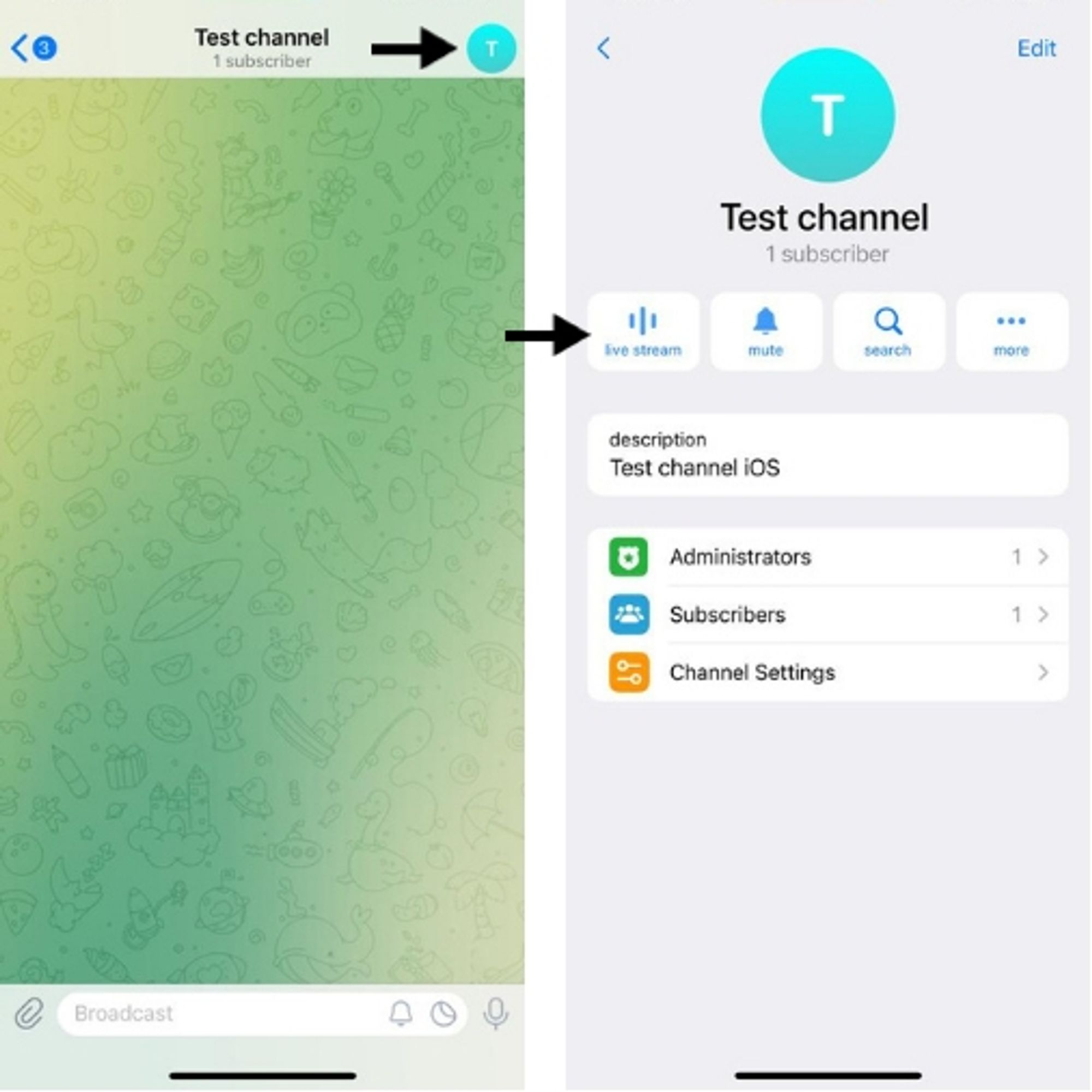 Starting a Telegram stream in iOS